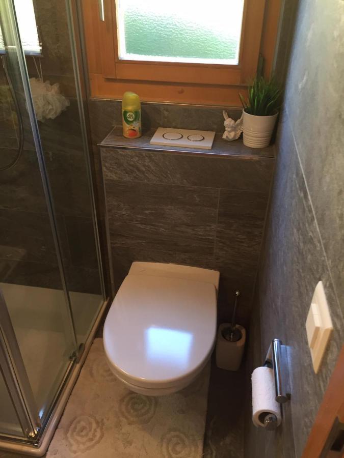 Chalet Siesta Ayent Экстерьер фото